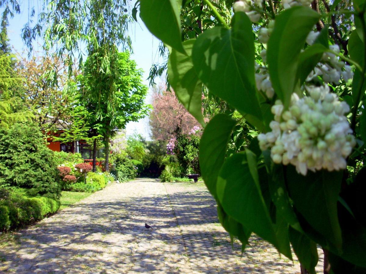Garten Vendeghaz Eger Exterior photo